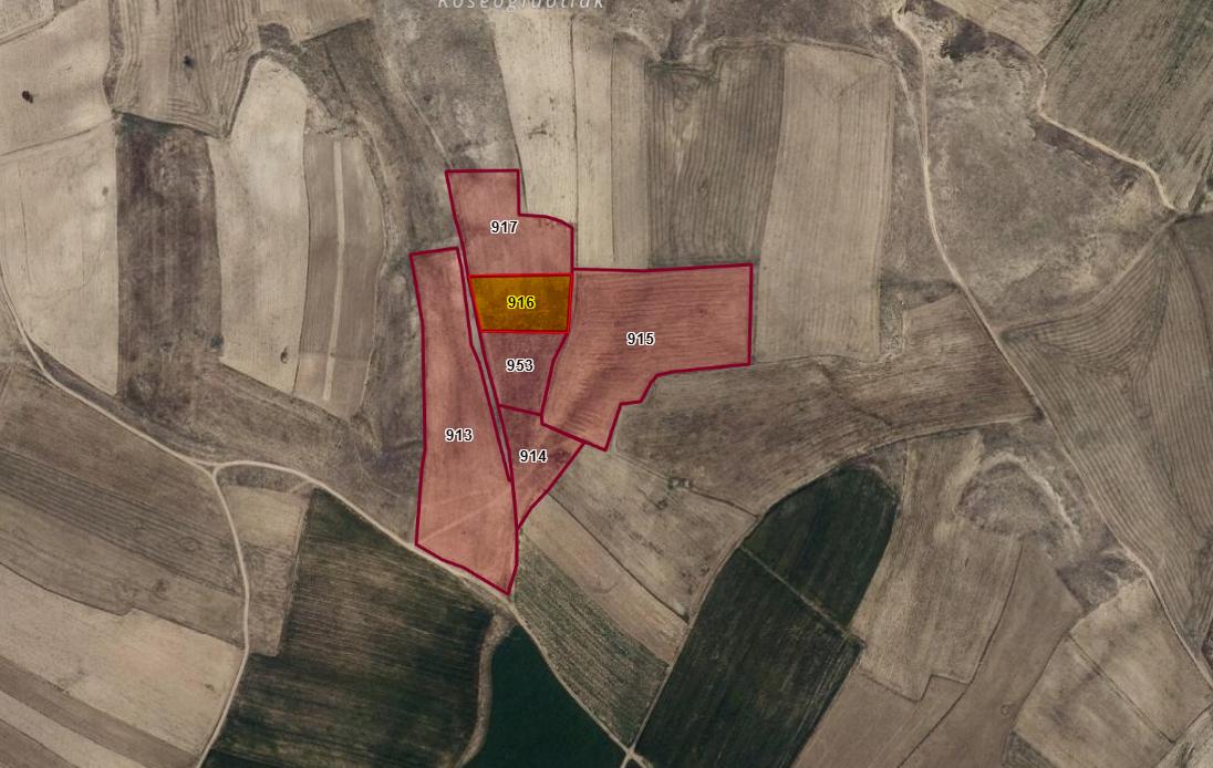 Plaza'dan İhsaniye'de Kadastral Yolu Olan Fırsat Tarla - Resim 3