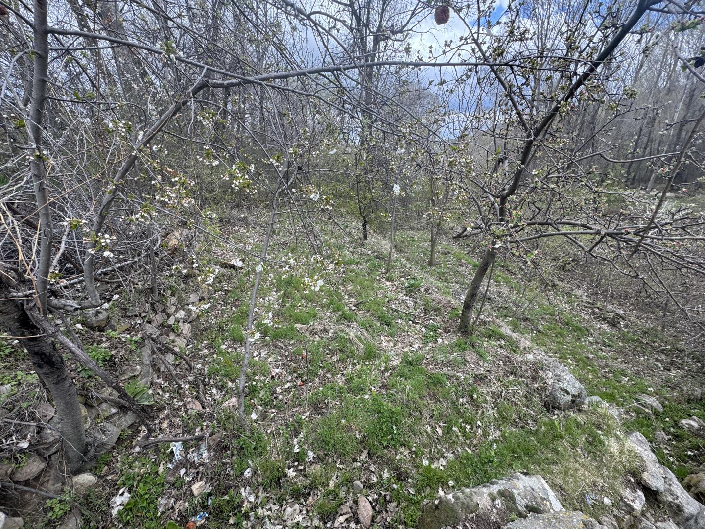 Plaza Emlak'tan Değirmenayvalı da Satılık Bahçe - Resim 4