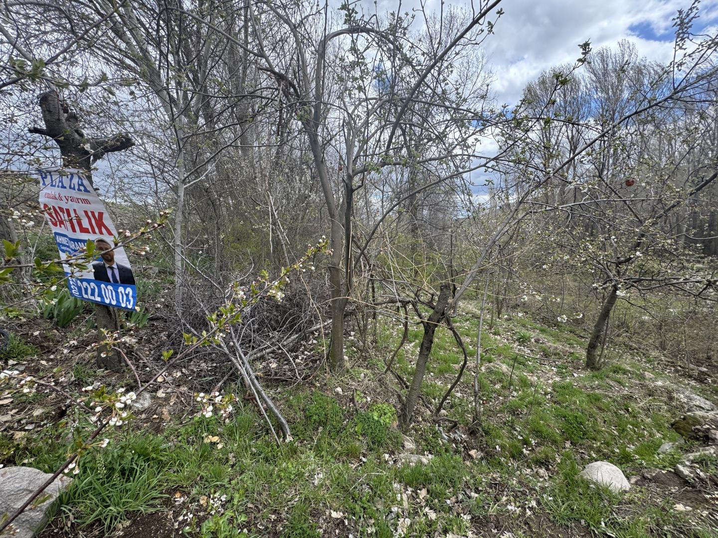 Plaza Emlak'tan Değirmenayvalı da Satılık Bahçe - Resim 6