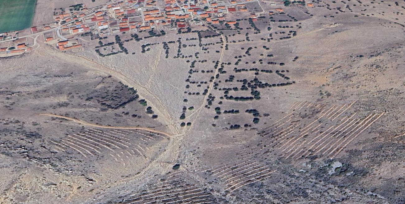 Plaza'dan Acil Satılık Kadastral Yolu Olan Fırsat Tarla - Resim 3