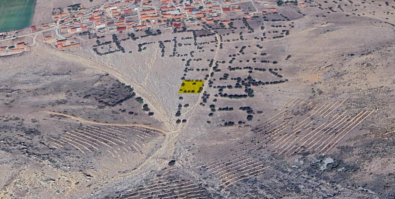 Plaza'dan Acil Satılık Kadastral Yolu Olan Fırsat Tarla - Resim 5
