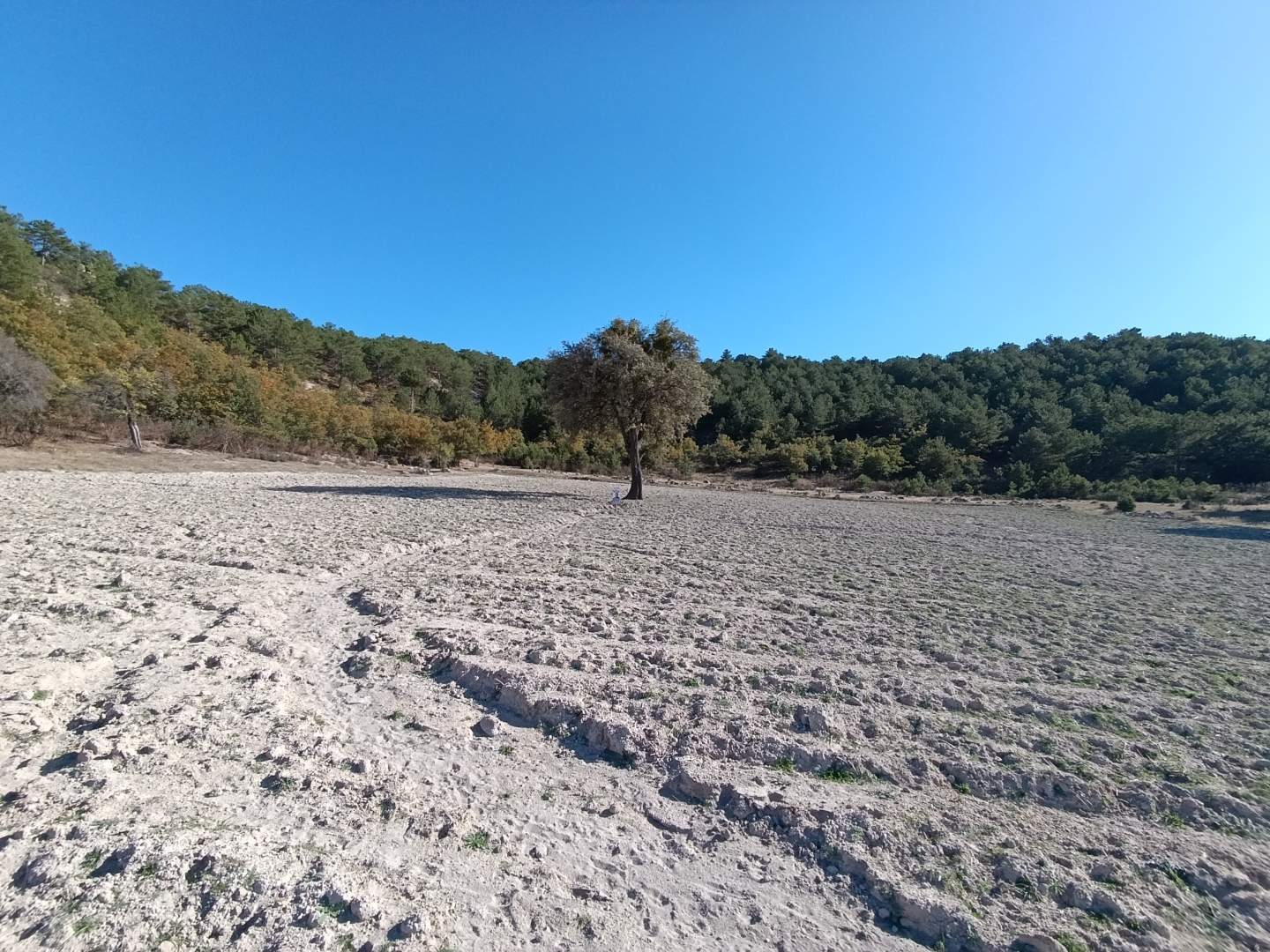 PLAZA'DAN ACİL SATILIK - Resim 9